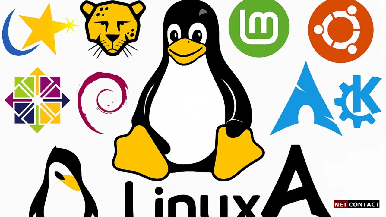 Linux: Diğer İşletim Sistemlerinden Üstün Kılan 10 Neden